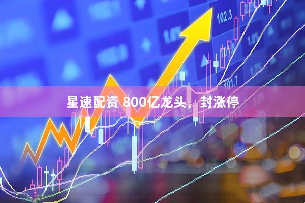 星速配资 800亿龙头，封涨停